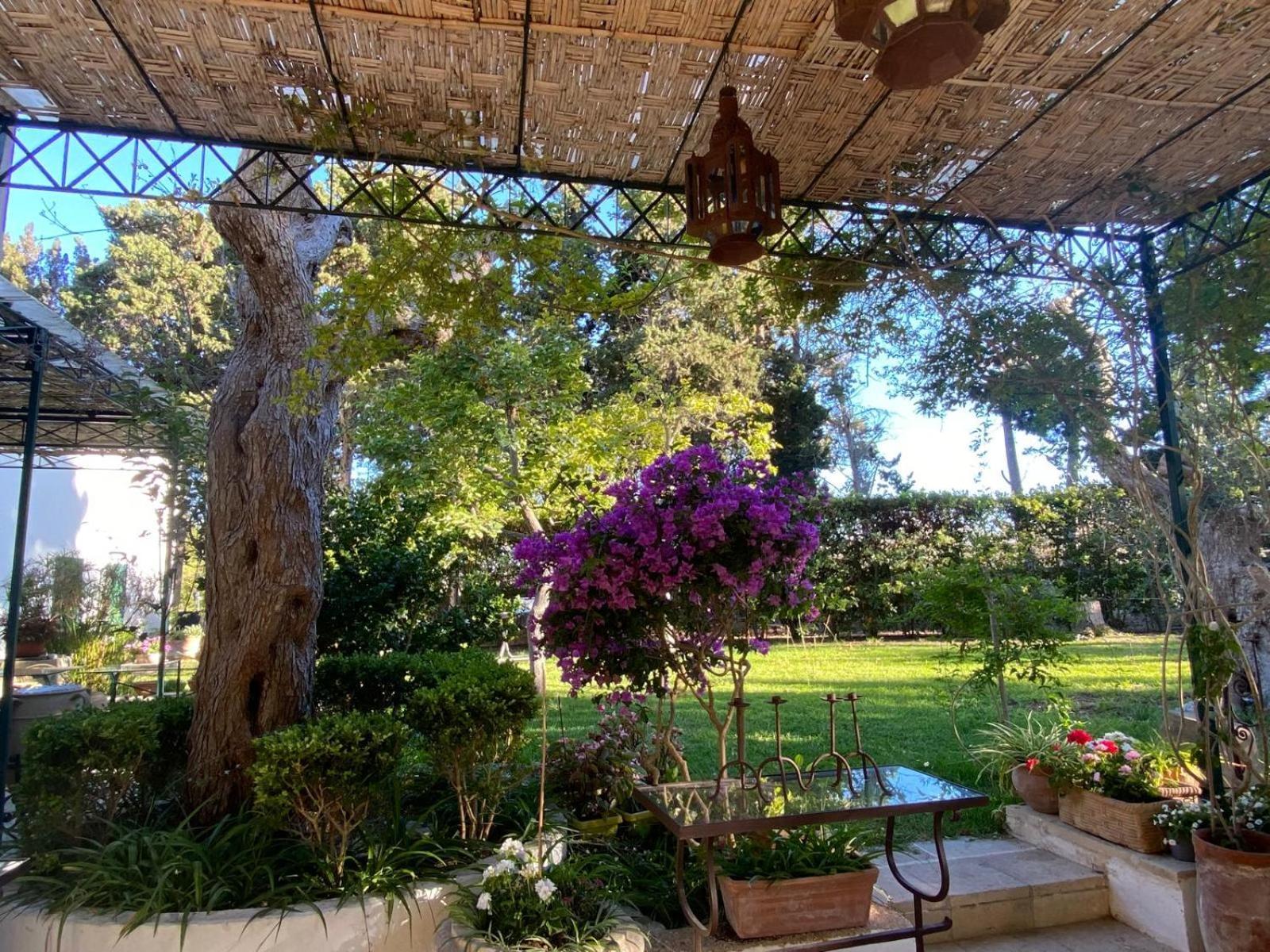 Tenuta Belvedere Otranto Exteriér fotografie