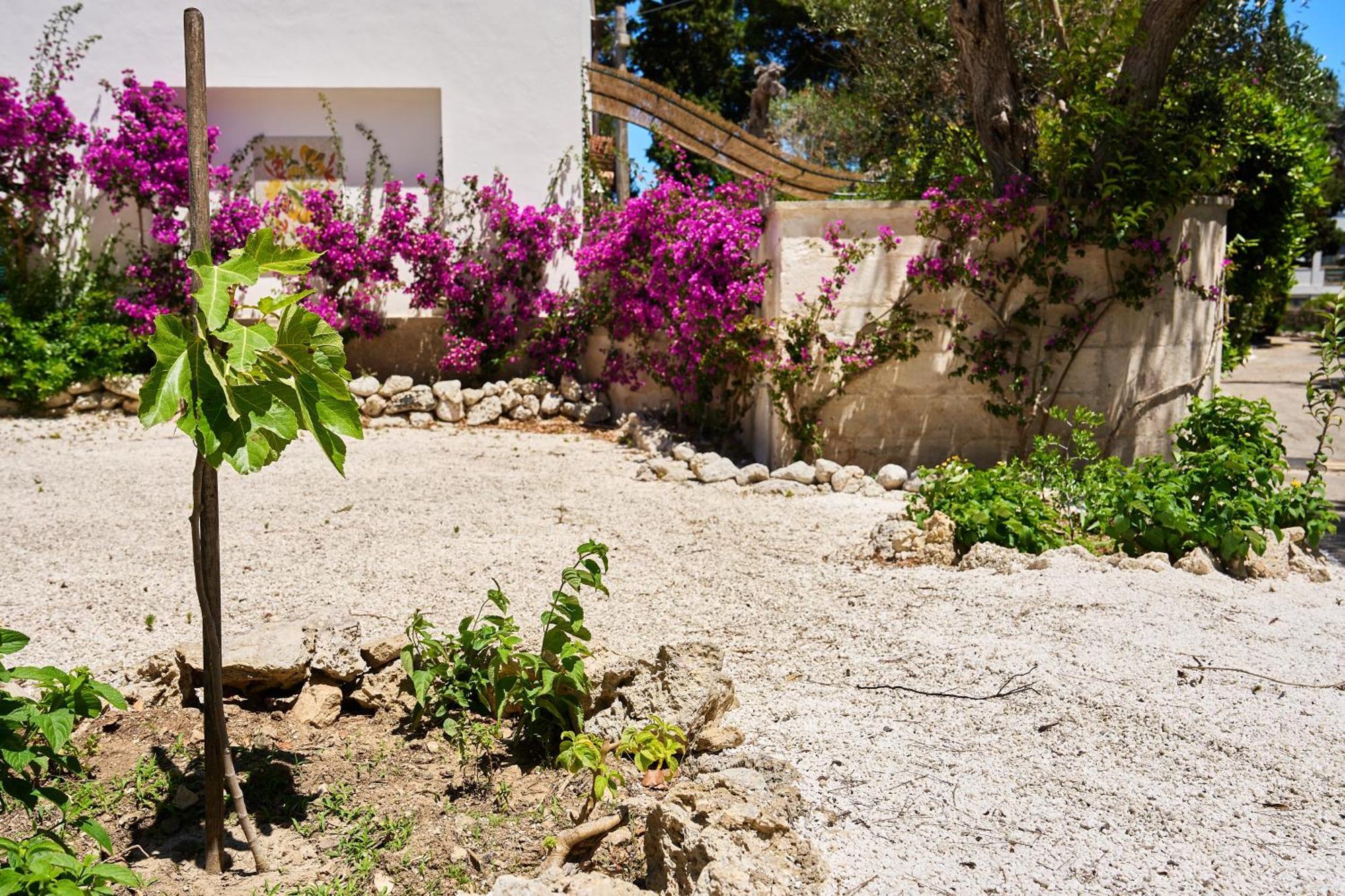 Tenuta Belvedere Otranto Exteriér fotografie