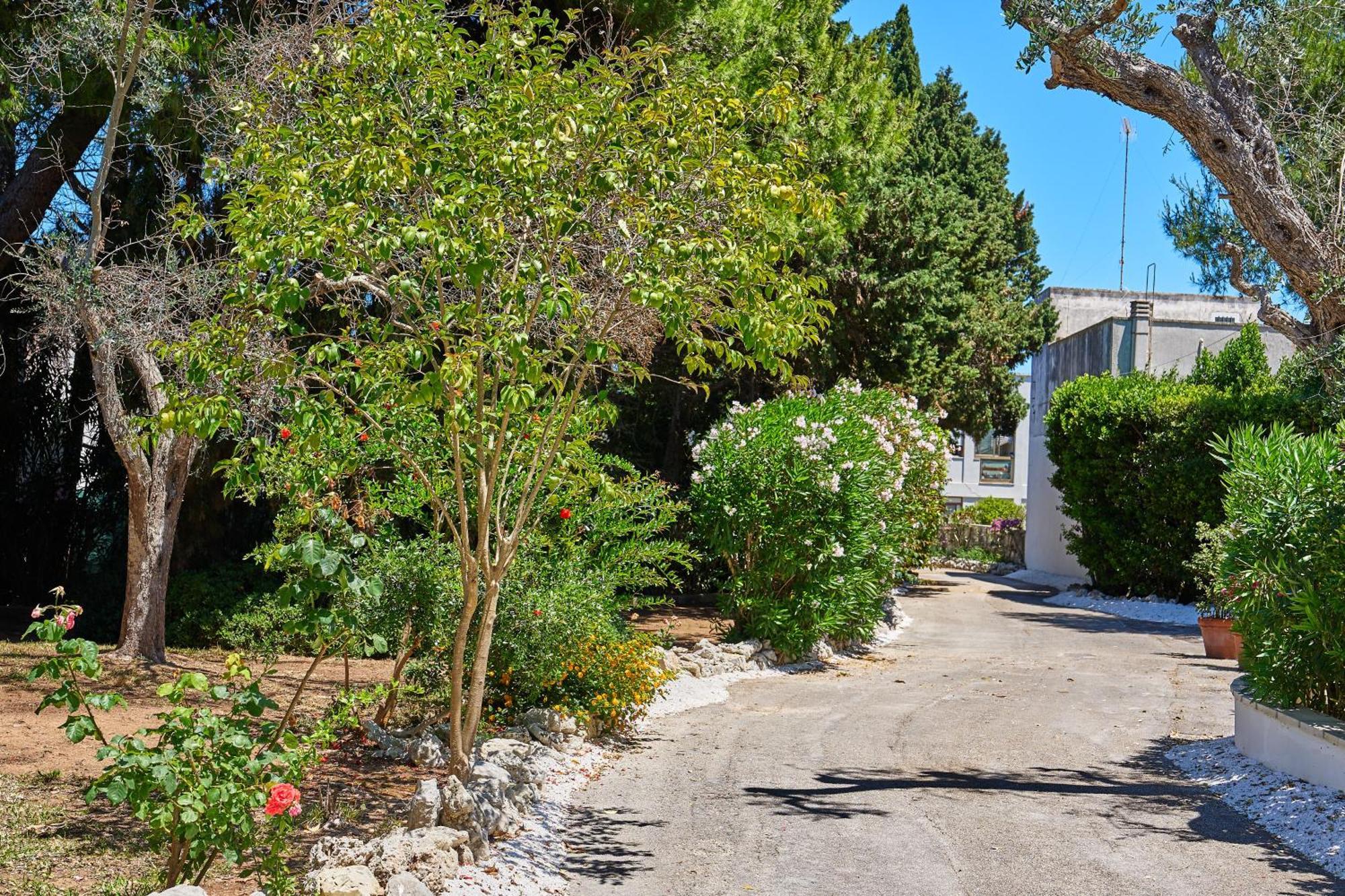 Tenuta Belvedere Otranto Exteriér fotografie